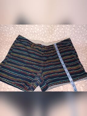Women's Multicolor Stripe Twill Shorts